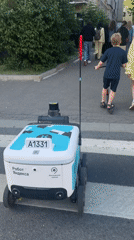 Moscow afternoon scenes show people, delivery robots amid floating fluff