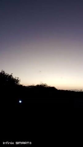 The video depicts a twilight scene with the sky transitioning from a dark purple-blue at the top to a lighter pale orange near the horizon. The lower portion of the frame is dominated by a dark silhouette of trees and vegetation, with what appear to be hills or mountains faintly visible in the distance. As the camera pans slightly to the right, a couple of palm trees are seen. The video is shaky and the image is a bit blurry. Text at the bottom left corner reads "Infinix SMART 8".