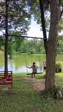 A person is swinging on a swing. The swing is made of ropes and a wooden seat and is suspended from a horizontal wooden beam supported by two trees. The person is wearing a light-colored shirt and shorts and is facing away from the camera. They are swinging back and forth over a body of water. The water is green and calm. There are trees and lush vegetation surrounding the water. There is also a red bench on the grass to the left of the swing. The overall scene is peaceful and serene, with a focus on nature and relaxation.