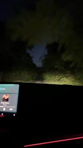 A vehicle with a brightly-lit dashboard drives down a narrow, paved road at night. Trees line both sides of the road. The car is playing a song called "Drop Some." The dashboard has a red light on it.