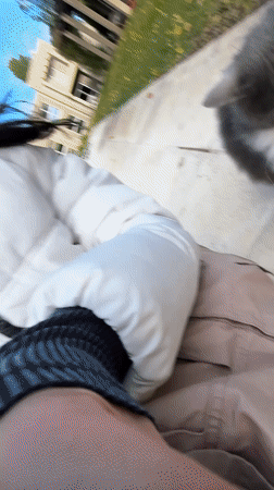 Woman documents quiet afternoon with cat in Trelew, Argentina