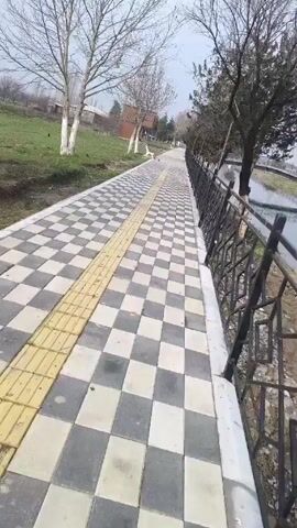 The camera, likely hand-held, shows a straight, paved walkway made of alternating dark and light gray square tiles, with a yellow textured stripe down the center. The walkway is lined on the right side by a black metal fence, beyond which is a body of water, possibly a pond or lake. A few bare trees are interspersed along the fence line.

To the left of the walkway is a grassy area with a few more bare trees. In the distance, buildings are visible. Several birds, some dark and some white, are seen on the walkway and in the grass. The overall setting appears to be a park or public outdoor space. The sky is overcast. There are no people visible in the frame.