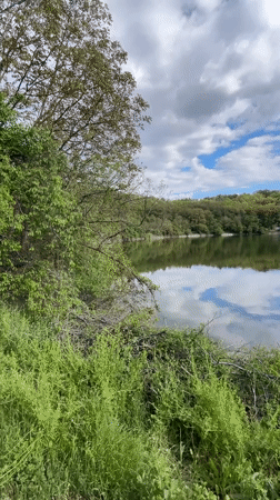 Three people fish at serene lake near Pleven, Bulgaria