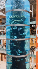 Shopping mall displays feature aquarium, lanterns, vintage car, Bearbrick figure