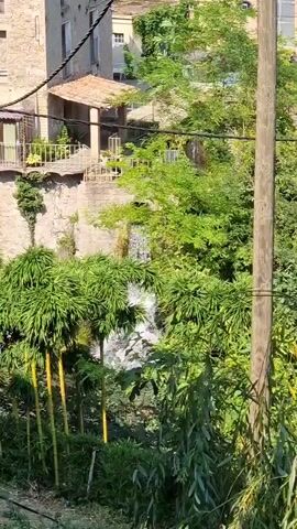 The video shows a picturesque scene with a small waterfall cascading down a rocky embankment. Lush green foliage, including bamboo plants with yellow stalks, surrounds the waterfall. In the background, there are buildings with terracotta roofs, suggesting a Mediterranean or rural setting. A wooden utility pole stands prominently in the foreground, slightly obscuring the view. The overall impression is one of natural beauty and tranquility.
