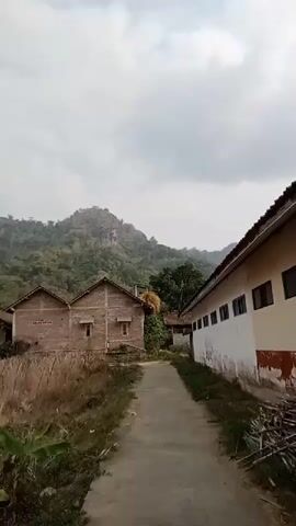The video shows a rural village scene. In the foreground, a dirt path leads past several buildings. To the left, there are some dry stalks of vegetation and a banana plant. In the center, there are several houses made of brick and wood, with pitched roofs. Some of these houses appear to be in disrepair. Further back, a green dome structure, possibly a mosque, is visible behind some trees. To the right, a longer building with windows runs along the side of the path. The background features a lush, forested hillside with a rocky peak at the top. The sky is overcast.