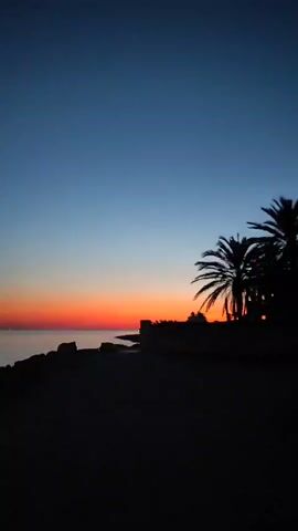 The video shows a dimly lit beach scene at dusk. The sky transitions from a deep blue at the top to a vibrant orange and red band near the horizon. Silhouetted palm trees and a rocky shoreline are visible in the foreground, casting long shadows. The water is calm and reflects the colors of the sunset. No people or animals are visible in the frame. The overall mood is tranquil and serene.