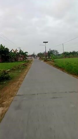 A video shows a drone's perspective flying down a paved road, with a single motorcyclist in the distance. The road is flanked by fields and vegetation, with trees and houses visible on either side. The sky is overcast, and the overall lighting suggests it is either early morning or late afternoon. The motorcyclist is wearing a red shirt and is traveling away from the drone. The drone appears to be moving at a steady pace, capturing the scene in a smooth, linear fashion.