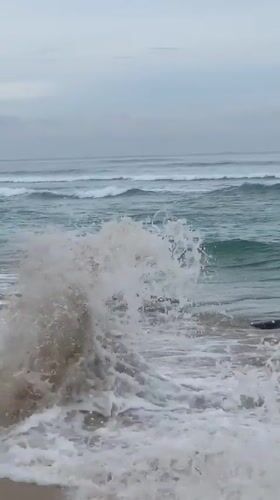 Early morning surfer rides waves at Sri Lankan beach