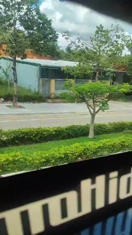 The video shows a view from inside a vehicle, looking out through a window.  The vehicle appears to be moving. Outside the window, there is a road with a white dividing line.  On one side of the road, there is a neatly trimmed green hedge.  Beyond the hedge, there are trees and vegetation, with some hills or slopes in the background.  On the other side of the road, there are buildings, fences, and more trees.  The sky is visible, with some clouds.  A black stripe with white lettering is visible along the bottom of the window frame, partially obscuring the view. The lettering appears to be reversed, suggesting it's a reflection or on the inside of the glass.