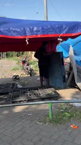 The video shows a person, likely male, wearing dark clothing and shorts, standing under a blue and red tarp structure. The person is holding a large, flat, gray object, possibly a panel or board, and appears to be moving it. In the foreground, there are several black plastic crates stacked on the ground. Behind the person and the tarp, a red motorcycle is visible. The environment appears to be an outdoor setting, with a paved ground surface, some vegetation, and a metal pole supporting the tarp. There is also some debris scattered on the ground. The lighting suggests it is daytime, possibly morning or afternoon.