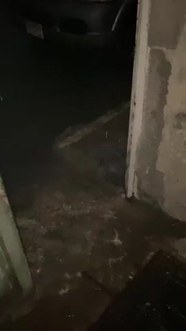 The video shows a dark, wet, and possibly flooded area, possibly a garage or an outdoor space near a building. A silver SUV is partially visible in the background. Water appears to be present on the ground, with some splash or ripple effects visible. The lighting is dim, suggesting it is nighttime or indoors with low light. There are no people visible in the video. The overall impression is one of dampness and possibly a recent rainfall or a water leak.