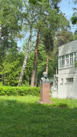 The video shows a bust statue in a green park setting. The bust is dark in color and sits atop a pink stone pedestal. Behind it is a low green hedge and tall green trees. To the right of the statue is a two-story, white building with a flat roof. The building has many windows, some with security bars. A birch tree grows close to the building, its branches reaching towards the upper level. The lawn is green and partially shaded. The sky is blue and clear.