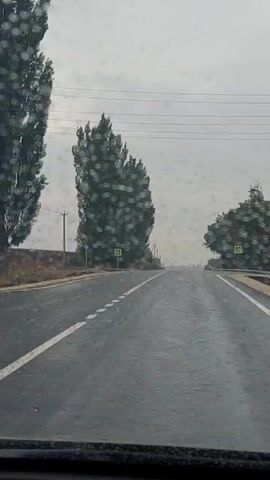 The video shows a view from a car driving on a wet road. Tall trees line the left side of the road, and a crosswalk sign is visible. The sky is overcast and appears to be raining. The road stretches ahead, disappearing into a hazy distance.