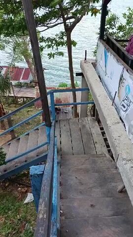 The video shows a descending view of a wooden staircase with blue railings. The staircase is situated outdoors with lush green trees and foliage surrounding it. In the background, a body of water, likely the ocean, is visible, with several small structures that appear to be houses with corrugated metal roofs along the shoreline. The lighting suggests it is daytime, possibly overcast.