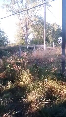 The video shows a view from a moving vehicle. In the foreground, there is tall grass and foliage. In the middle ground, there is a fence and a road with a white truck driving on it. The truck has a green trailer with a logo on it that says "Armelot". In the background, there are trees and a blue sky. The vehicle then appears to pass by a wooden gate and a concrete path. The video is shaky and the lighting suggests it is daytime.