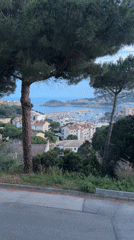 Evening coastal scenes and blooming flowers captured in Spanish town