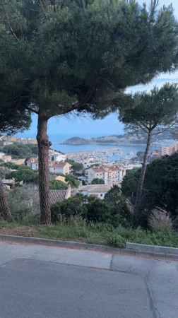 Evening coastal scenes and blooming flowers captured in Spanish town