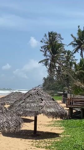 A sandy beach is shown with several thatched umbrellas in the foreground. Palm trees are visible behind the umbrellas, some of which are leaning. In the background, the ocean can be seen with waves breaking. A wooden structure is present on the right side of the frame, and green vegetation covers the ground in the lower right corner. The sky is blue with scattered white clouds. The overall scene depicts a tropical beach environment.