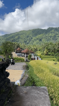 Rural rice paddy landscape documented in Sidemen, Indonesia