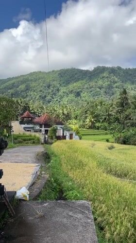 Rural rice paddy landscape documented in Sidemen, Indonesia