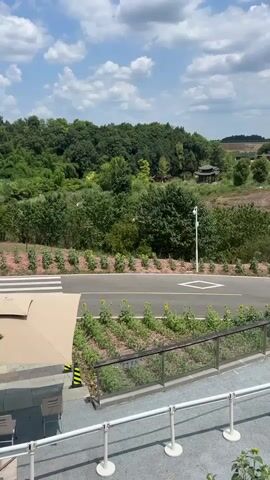 The video shows a scenic view of a landscape with rolling green hills covered in trees. In the foreground, there is a paved walkway with white railings and planters containing green plants and sunflowers. A road with a pedestrian crossing runs horizontally across the middle of the frame, with more sunflower plantings on the other side. Beyond the road, the landscape continues with trees and some open fields. In the distance, several buildings are visible, including what appears to be a traditional-style building with a dark roof. The sky is blue with scattered white clouds. The camera pans slowly to the right, revealing more of the landscape and a signpost.