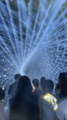 Inside teamLab Borderless: light tunnels and immersive floral projections, Odaiba