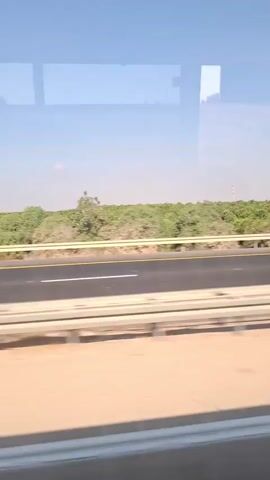 The video shows a view from a vehicle moving along a highway. The highway has multiple lanes and is bordered by a metal guardrail. Beyond the guardrail, there are fields of trees, possibly an orchard, with rows of greenery stretching into the distance. The sky is clear and blue, with a few faint reflections visible on the window. A tall utility pole with a light fixture is visible on the right side of the frame. There are no people or animals clearly visible in the video.