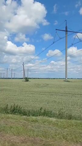 The video shows a wide-angle shot of a rural landscape under a bright blue sky with scattered white clouds. The foreground is a grassy verge with some green plants. Beyond this, a vast field of light green crops, likely wheat or barley, stretches to the horizon. Several tall, grey electricity pylons with multiple wires are spaced across the field, extending into the distance. The perspective suggests the video is being filmed from a moving vehicle, possibly a car or train, as the scene appears to be panning slightly to the right. There are no people or animals visible in the frame. The overall impression is of a serene, agricultural environment on a clear, sunny day.