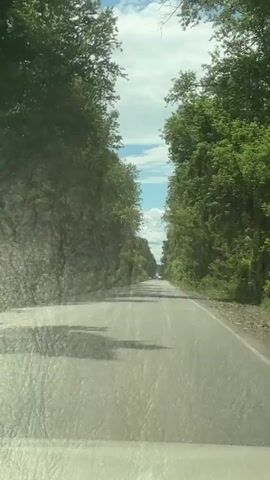 The video shows a first-person view from a vehicle traveling on a paved road. The road is bordered by dense green trees on both sides, creating a tunnel-like effect. Sunlight filters through the trees, casting shadows on the road. The sky above is partly cloudy with patches of blue. The road appears to be somewhat uneven with some water or puddles reflecting the shadows. In the distance, other vehicles can be seen on the road. The video is short and focuses on the drive through the tree-lined road.