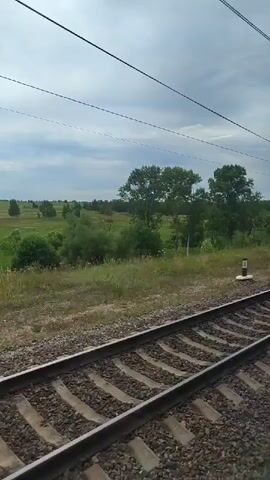 This video captures a train's perspective as it travels along a railway track. The camera is positioned to show the tracks in the foreground and a rural landscape in the background. The landscape consists of green fields, scattered trees, and a cloudy sky. The train is moving, indicated by the blur of the landscape and the perspective shift of the tracks. Overhead, power lines for the electric train are visible. There are no people or significant interactions depicted. The environment is natural and open, suggesting a journey through the countryside.