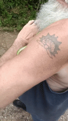 Bearded man handles green snake with children in Park Hill