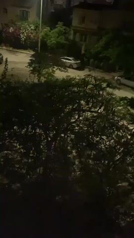 The video shows a nighttime scene with a street and buildings. Two white cars are parked on the street. There are trees with dark green leaves, some of which have pink flowers. The buildings are multi-story and appear to be residential. Lights are visible in some of the windows. The overall lighting is dim, suggesting it is nighttime.