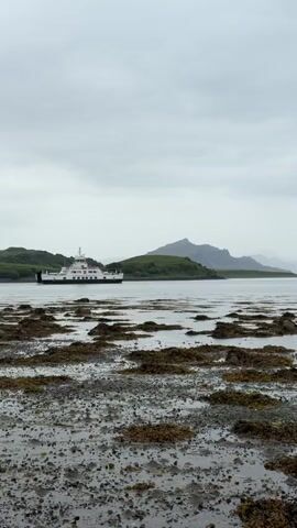 A low-angle shot captures a ferry boat moving from left to right across calm water under an overcast sky. In the foreground, a wet and rocky shoreline covered with dark green and brown seaweed stretches across the frame. Behind the water, green hills and distant, hazy mountains are visible. The ferry is white with dark accents and has a multi-deck structure.
