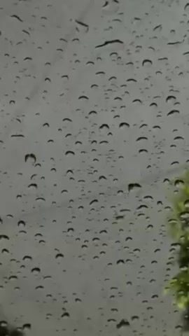 The video shows a close-up view of raindrops on a window. The raindrops are small and numerous, creating a blurry effect on the background. In the bottom right corner, a green tree branch is visible. The overall tone is gray and wet, emphasizing the rainy weather. There are no people visible in the video.