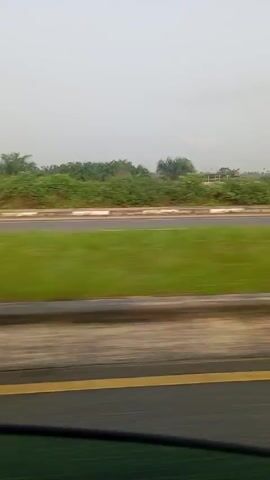 The video, taken from a moving vehicle, depicts roadside scenery. A concrete barrier with a yellow line runs along the bottom of the frame, suggesting the inside view from a car. On the other side of the road, there is a green grassy area and a variety of lush vegetation, including banana trees and palm trees, bordering the road. The sky is overcast and grey. Occasionally, a person and piles of sand are visible on the far side of the vegetation.