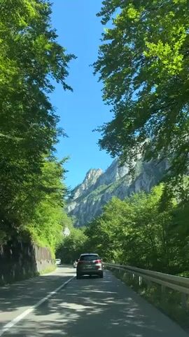 The video shows a car driving on a paved road through a lush green mountain landscape. The sky is a clear blue. Tall, rocky mountains with patches of trees are visible on either side of the road. The road is marked with white lines and there is a guardrail on the right side. The car is moving forward at a moderate speed, and there are other vehicles visible ahead. The trees are dense and green, indicating a summer or late spring season. Sunlight filters through the leaves, casting shadows on the road. The overall impression is of a scenic drive through a natural environment.