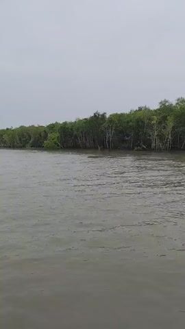 A wide shot shows a body of water with a dense forest lining the opposite bank. The water is a muted gray-green and appears somewhat choppy. The forest is lush and green, with various shades of foliage indicating a mix of trees and undergrowth. The sky is overcast, suggesting a cloudy or perhaps rainy day. In the foreground, on the left side of the frame, a portion of a boat is visible. It consists of a tall, dark pole with a red stripe near the top and a green section at the bottom. The camera appears to be mounted on this boat, capturing the view as it moves along the water. There are no people visible in the frame, and the focus is on the natural scenery and the boat's perspective. The overall atmosphere is calm and serene, with the natural elements dominating the scene.