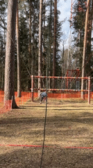 Person tackles ropes course in Russian woodland