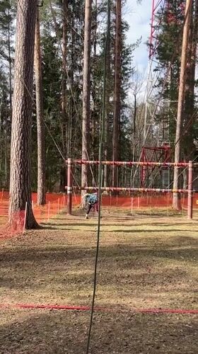 Person tackles ropes course in Russian woodland