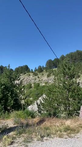 This is a vertical video shot outdoors on a clear, sunny day with a bright blue sky. The foreground features a rough, gray pole with green graffiti on it, a large grey rock with some red markings, and dry brush and grass. In the mid-ground and background, there is a lush green landscape with various trees, including pine trees, and a rocky, mountainous terrain. The camera pans slightly to the right, revealing a prominent mountain peak in the distance, also covered in trees. The overall impression is a natural, somewhat rugged, outdoor environment under a clear sky.
