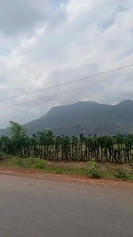 The video depicts a view from a moving vehicle on a road.  A mountain rises in the background, partially obscured by haze. The roadside is lined with low vegetation, including cactus-like plants and some trees. A small shelter with a white roof is visible in a field. Power lines run parallel to the road. The sky is overcast with clouds. The overall impression is a rural landscape with a mountainous backdrop.