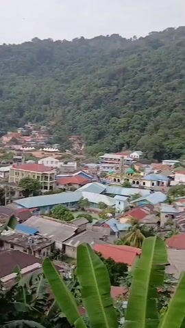 The video displays a small village nestled at the foot of a lush, green mountain. The houses are closely packed, with roofs of various colors, including red, blue, and white. A prominent mosque with a dome and minaret is visible in the center of the village. Banana trees with large, green leaves are scattered throughout the foreground and midground. The sky is overcast, suggesting a cloudy day. The camera pans slowly from left to right, offering a panoramic view of the village and its mountainous backdrop. There are no visible people in the frame, and the scene appears tranquil and undisturbed. The overall impression is of a peaceful, rural community surrounded by natural beauty.