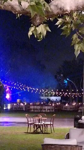This is a nighttime shot of an outdoor event set up on a lawn. In the foreground, there are several wicker chairs and tables, along with some lounge furniture. Beyond that, there are numerous round tables set up, each with chairs. String lights are hung above the tables, and in the background, there is a stage with bright blue and purple lights illuminating the area. There are trees and foliage visible throughout the scene, with a large branch hanging from the top of the frame. The sky is dark.