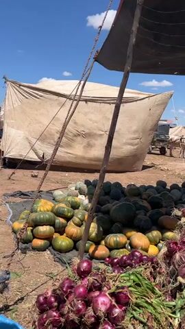 The video shows a bustling outdoor market scene on a sunny day. In the foreground, there's a display of produce: pumpkins, red onions, and green beans piled in bags.  A makeshift tent provides shade over the produce. The camera pans across the market area, revealing more tents and stalls, and people walking around and transporting goods using handcarts and a small truck loaded with produce.  The ground is dirt and there is some trash scattered around. There's a water tower visible in the distance.