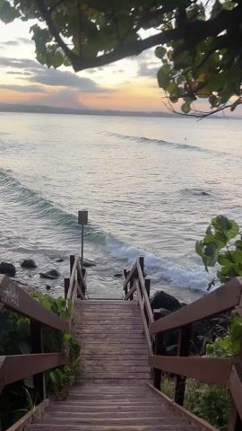 The video presents a view from the top of a wooden staircase leading down to a rocky shore, with the ocean stretching out to the horizon.  The sky is a blend of colors from the sunset, with a light orange hue giving way to a soft gray. The sea is calm, with gentle waves breaking on the rocks.  There are a few indistinct figures in the water.  The scene is partially framed by foliage, including leaves from a tree or bush overhead. A signpost is visible near the stairs. The lighting suggests it is either early morning or late evening.