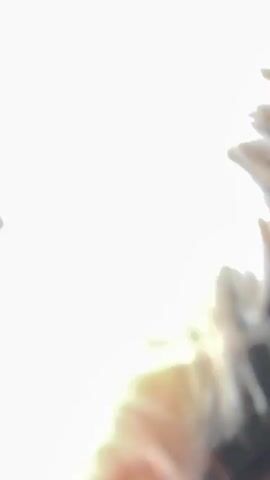 The video begins with a close-up, out-of-focus shot of what appears to be a dog's fur. The scene then shifts to a slightly clearer view of a small dog, possibly a Yorkshire Terrier, with light-colored fur. A person's hand is visible in the frame, petting the dog. The dog is moving its head, and its fur is slightly disheveled. The background is dark and appears to be an indoor setting. The video continues with close-up shots of the dog's face and paws as it interacts with the hand. The dog's ears are prominent, and its eyes are visible in some frames. The hand is gently stroking the dog's head and chest. The overall impression is one of affection and interaction between a person and their pet.