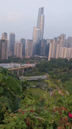 Daily life captured across Chongqing's Yuzhong District parks and plazas
