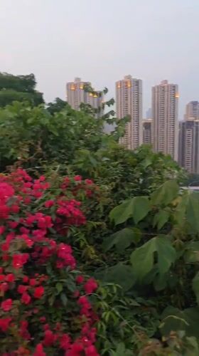 Daily life captured across Chongqing's Yuzhong District parks and plazas