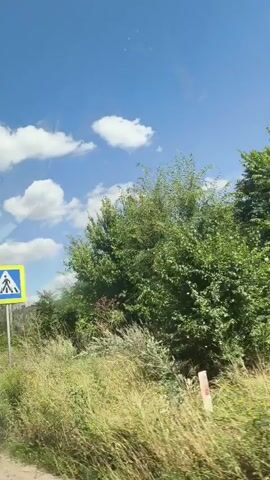 This is a video taken from a moving vehicle traveling down a dirt road on a sunny day. The sky is blue with scattered white clouds. On the right side of the road, there is a pedestrian crossing sign. Lush green trees and tall grass line the road. In one frame, a dark-colored SUV is parked on the side of the road. The video appears to be shot from a handheld camera or a dashboard camera.